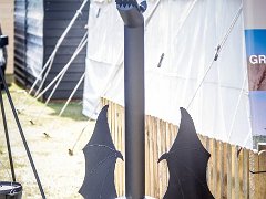 DSC2022 : Aylsham Show 2016