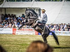 DSC2238 : Aylsham Show 2016