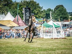 DSC2405 : Aylsham Show 2016
