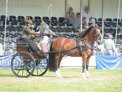 DSC6707 : Aylsham Show 2017