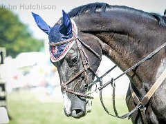 Aylsham Show 2017