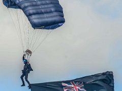 DSC1385  the tigers parachute display team