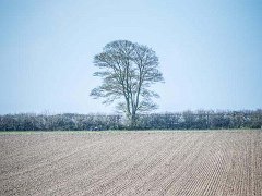 DSC0321 : Ploughed field