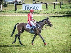 DSC0536 : 2016, Burnham Market