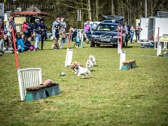 DSC0548 : 2016, Burnham Market, terrier racing