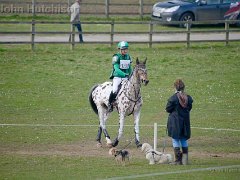 DSC0557 : 2016, Alexander Whewall, Burnham Market, Colby II, leopard spotted