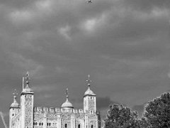 DSCF1493  http://www.amodel4hire.co.uk : Tower of London