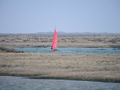 DSC7233-1  [c]JOHN HUTCHISON : Burnham Overy Staithe