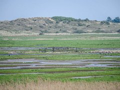 DSC7235-1  [c]JOHN HUTCHISON : Burnham Overy Staithe