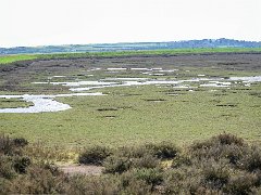 DSC7382-1  [c]JOHN HUTCHISON : Burnham Overy Staithe