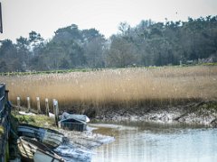 DSC7171-1  [c]JOHN HUTCHISON : Cley next the Sea 2018