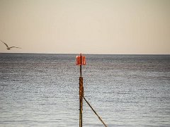 DSC3207 : Cromer Jan 2017