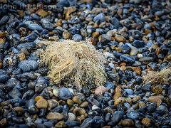 DSC3234 : Cromer Jan 2017