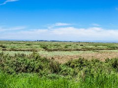 P1000581-Pano : Wells-next-the-Sea, heading to wards Stiffkey, panoramic view