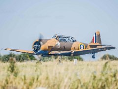 DSC9358  [c]JOHN HUTCHISON : AJ841, G-BJST, Harvard T-6J Texan, Old Buckenham (EGSV), painted in former RAF Desert Ai, wacky-wabbit