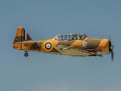 DSC9430  [c]JOHN HUTCHISON : AJ841, G-BJST, Harvard T-6J Texan, Old Buckenham (EGSV), painted in former RAF Desert Ai, wacky-wabbit