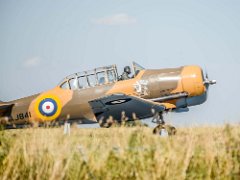 DSC9566  [c]JOHN HUTCHISON : AJ841, G-BJST, Harvard T-6J Texan, Old Buckenham (EGSV), painted in former RAF Desert Ai, wacky-wabbit