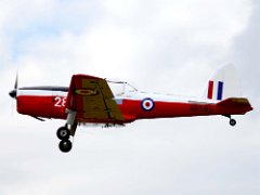 DSC9951  [c]JOHN HUTCHISON : Chipmonk, Old Buckenham 2021